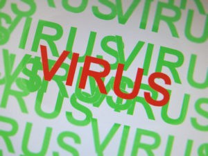 Schutz vor Viren, Trojanern und Würmern im Netzwerk und im Internet